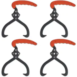 Metsandus ja metsaraie