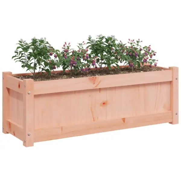 Aia taimekastid 2 tk, töötlemata ebatsuugapuit, 90 x 31 x 31 cm - 4