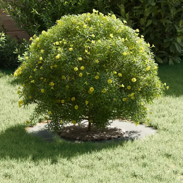 Tasapinnalised puualuse kaitserõngad, 5 tk, hõbedane tsingitud teras, Ø30/60 cm – 3