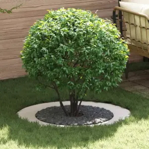 Lamedad puutüverõngad juureala kaitseks, 5 tk, valge teras, Ø 60/90 cm