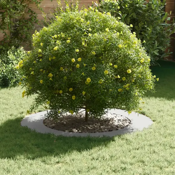 Lamedad puutüverõngad juureala kaitseks, 5 tk, valge teras, Ø 60/90 cm – 3