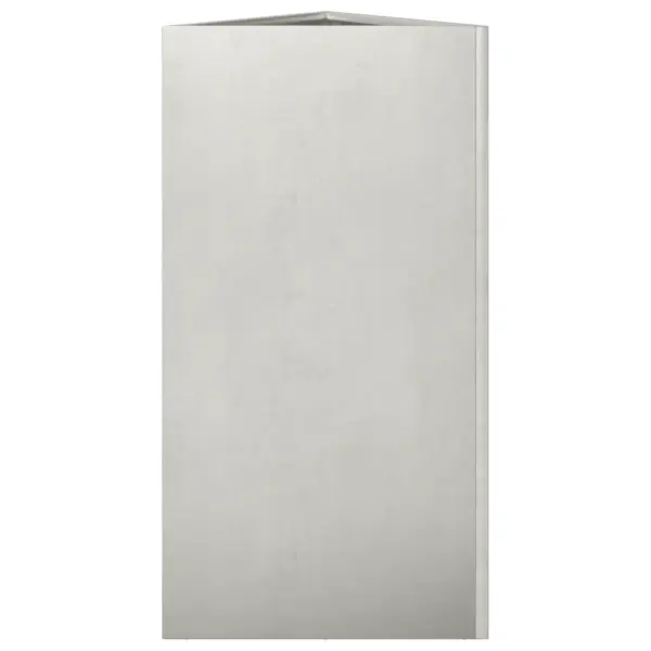 Aia taimekastid põhjaga, kolmnurkne, 2 tk, roostevaba teras, 40 x 40 x 75 cm, hõbedane – 7