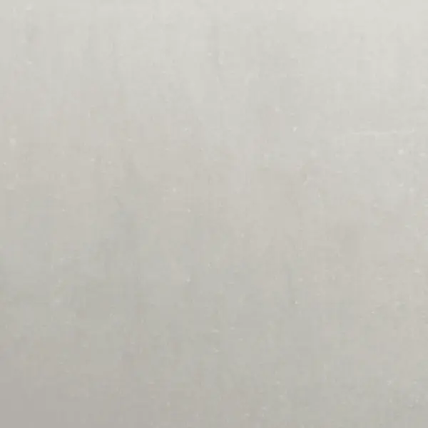 Kõrgendatud aiataimelava roostevabast terasest, 100 x 100 x 25 cm, hõbedane – 9