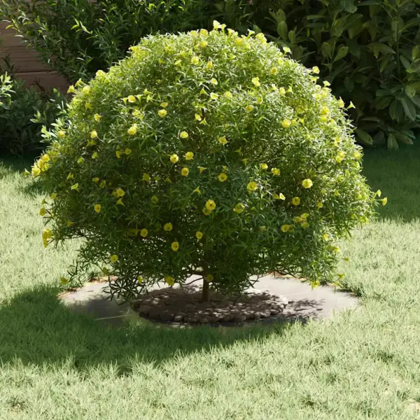 Lame roostevabast terasest puurõngas, 5 tk, hõbedane, Ø30/60 cm – 3