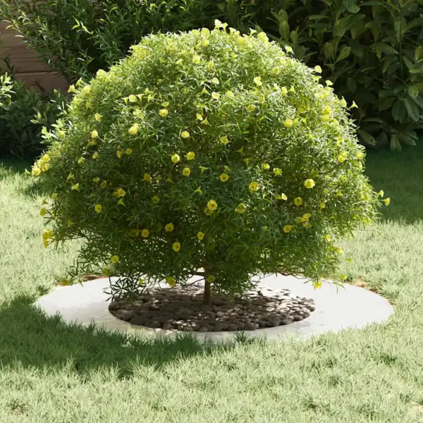 Lame roostevabast terasest dekoratiivne puurõngas, 5 tk, hõbedane, 70 x 70 cm, sobib Ø40 cm tüvele – 3