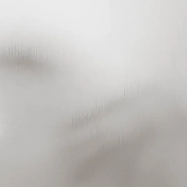 Roostevabast terasest taimekastid, hõbedane, 2 tk, 49 x 47 x 46 cm – 10