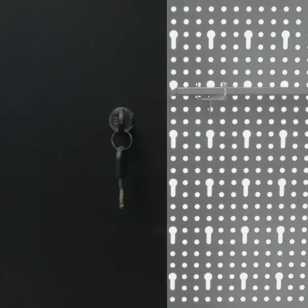 Seinale kinnitatav metallist tööriistakapp aukplaadiga, lukustatav, hall ja must, 120 x 19 x 60 cm – 8