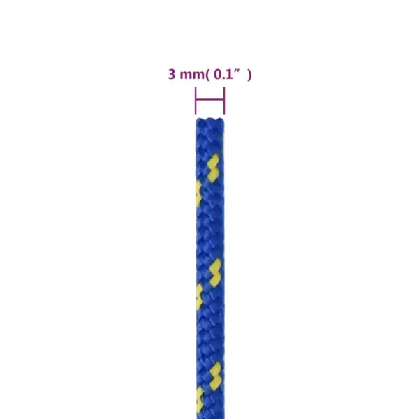 Paadiköis sinine polüpropüleenist, 3 mm, 100 m - 6