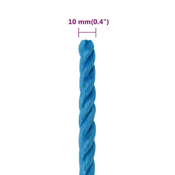 Sinine polüpropüleenist töököis, 10 mm, 50 m rull – 6