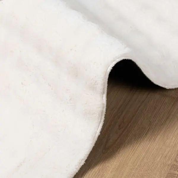 Libisemisvastane kreemjas ristkülikukujuline vaip Sirolo, polüester, 200 x 140 cm – 5