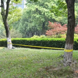 Slackline tasakaaluliin 15 m x 50 mm, 150 kg, kollane polüester