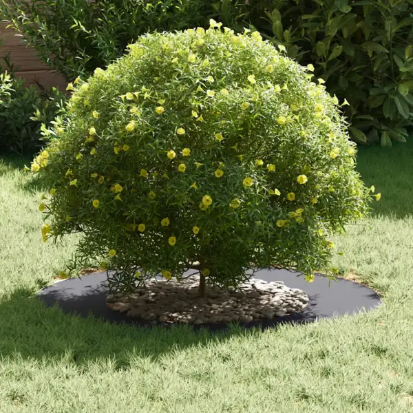 Lame terasest puurõngaste komplekt, 5 tk, antratsiit, Ø40/70 cm, 70 x 70 cm – 3