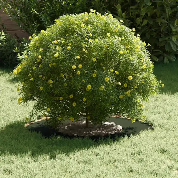 Dekoratiivsed terasest puualuse rõngad, oliiviroheline, 5 tk, Ø30/60 cm – 3