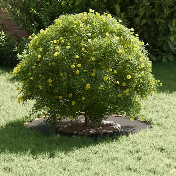 Lamedad terasest puutüverõngad, 5 tk, must, Ø30/60 cm – 3