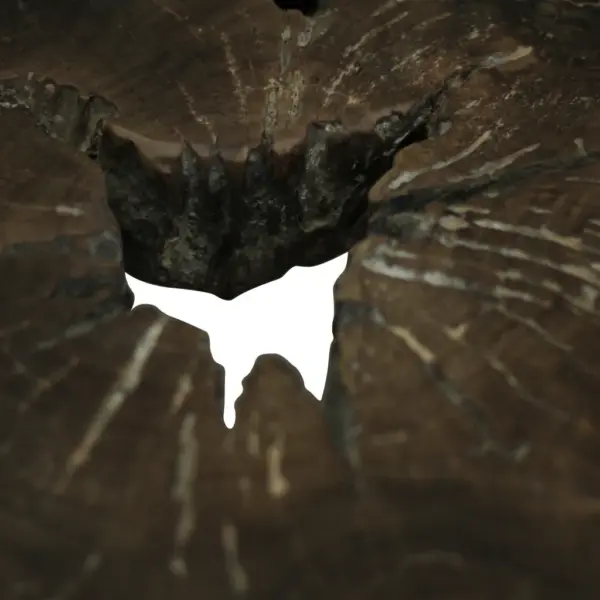 Tiigipuust kohvilaud terasjalgadega, käsitsi valmistatud, 80 x 70 x 38 cm – 9