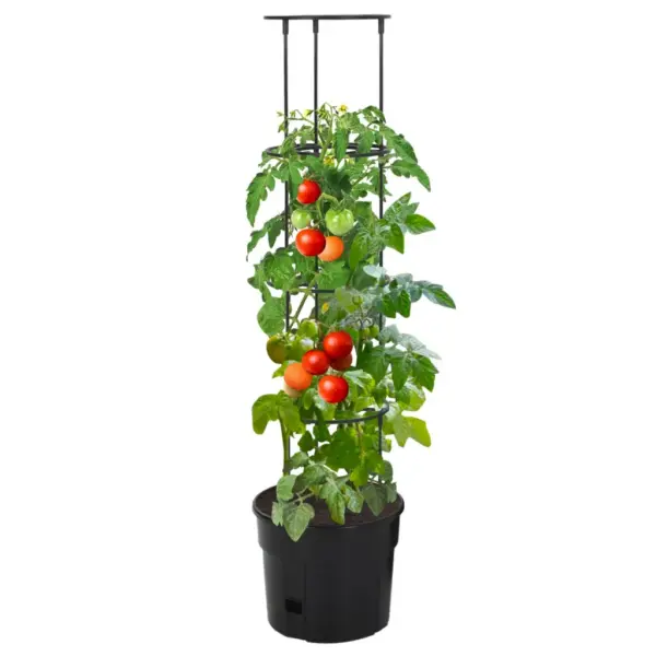 Tomatitaime kasvupott tugitorniga, antratsiithall, Ø 29,5 x 115 cm, polüpropüleen – 2