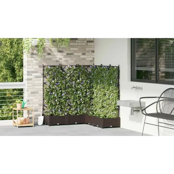 Trellisega aia istutuskastide komplekt, 5 tk, pruun teras, 120 x 120 x 125,5 cm – 4