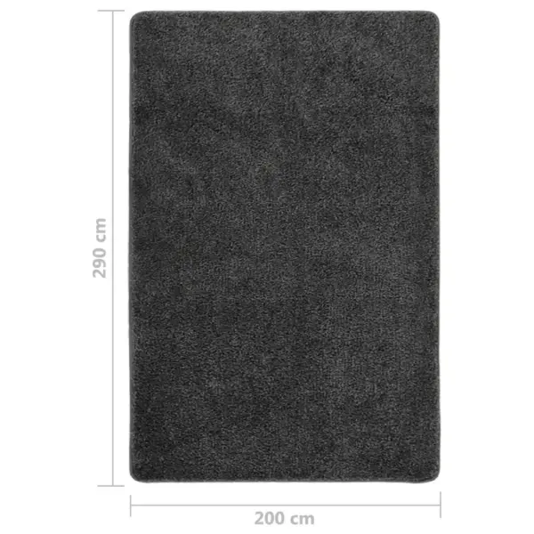 Karvane vaip libisemiskindla tagusega, tumehall, 200 x 290 cm – 5