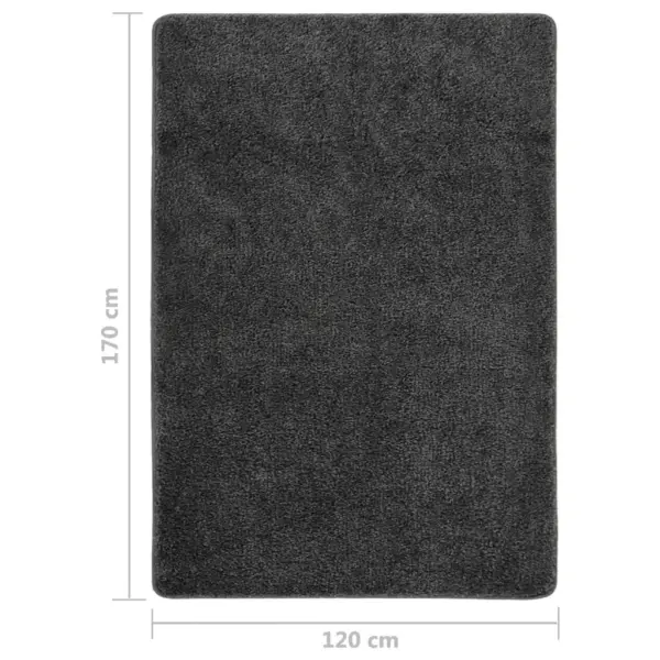 Karvane põrandavaip libisemiskindla lateksist tagusega, tumehall, 120 x 170 cm – 5