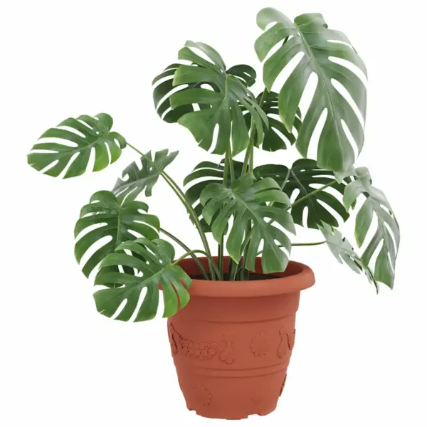 Ümmargune plastist lillepoti komplekt, kohviroosa, 6 tk, Ø 26 x 21,5 cm – 3