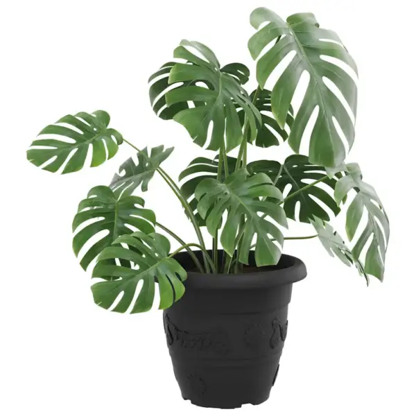 Ümmargune plastist lillepoti komplekt, 6 tk, must, Ø 26 x 21,5 cm – 3