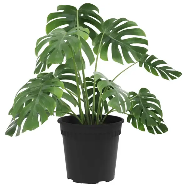 Ümmargune plastist lillepott, 24 tk, must, Ø 19 x 16 cm – 3