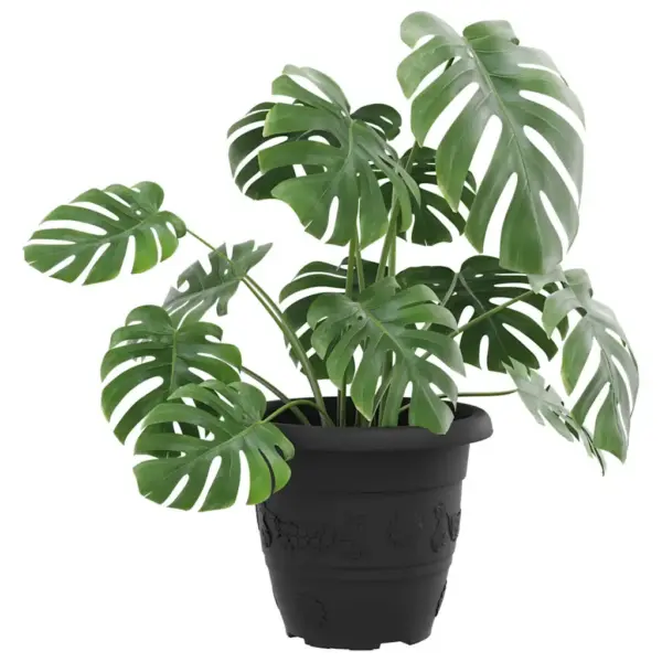 Ümmargune plastist lillepott äravooluavadega, must, Ø 26 x 21,5 cm, 24 tk – 3