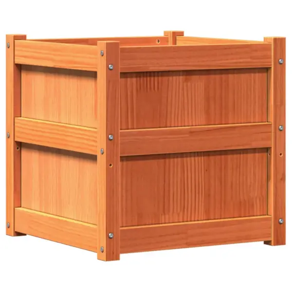 Aia taimekast vahapruunist männipuidust, 50 x 50 x 50 cm – 2