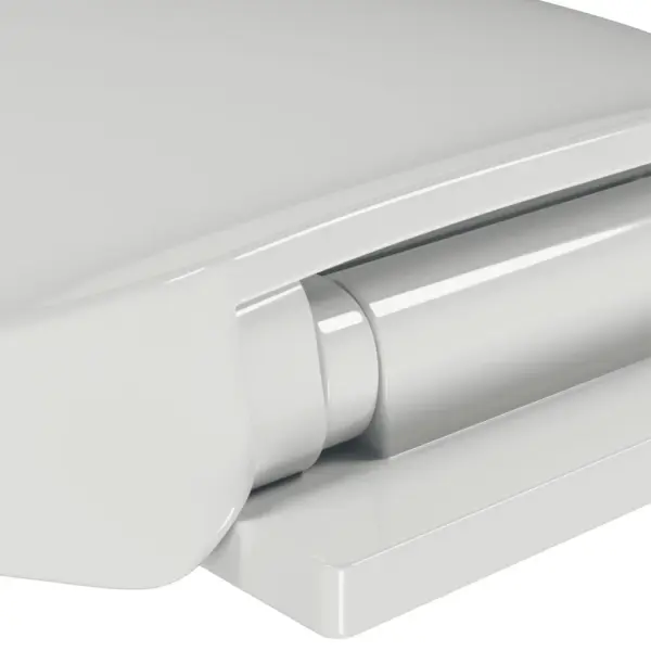 Vaikselt suletav WC-prill-laud, valge ovaalne, polüpropüleen, 46 x 35 cm – 11