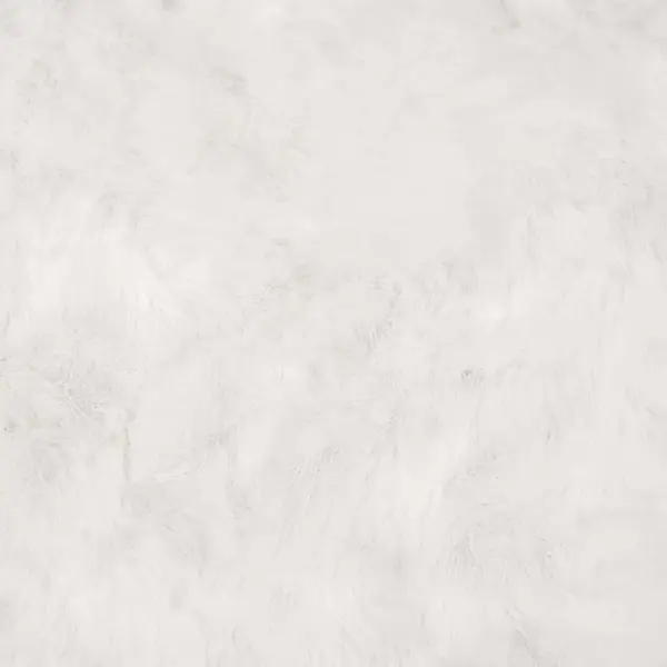 Libisemiskindel kunstkarusnahast vaip Olite, valge, 80 x 120 cm – 10