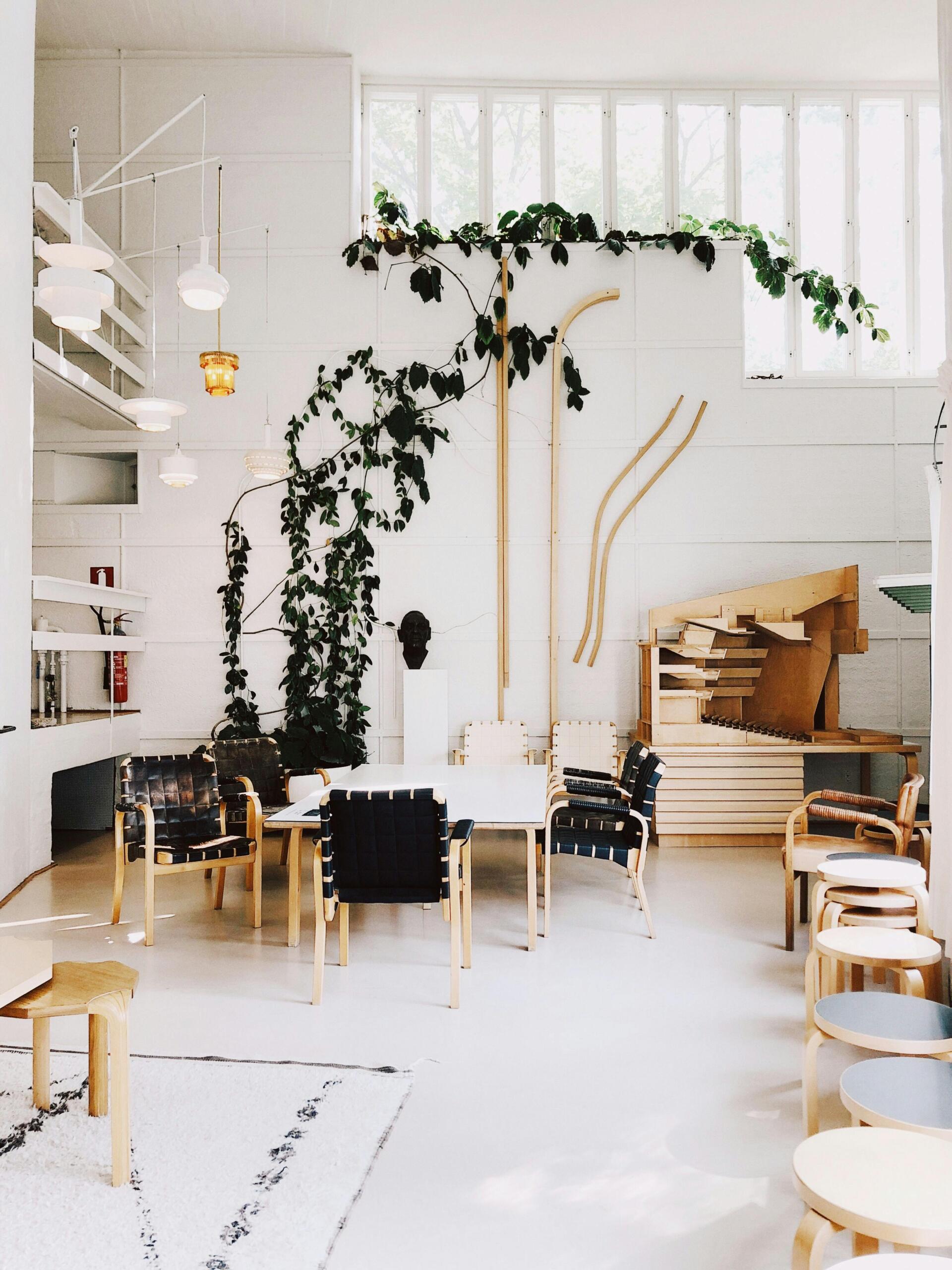 Valge lillemustriga pitskardina detailne ääris