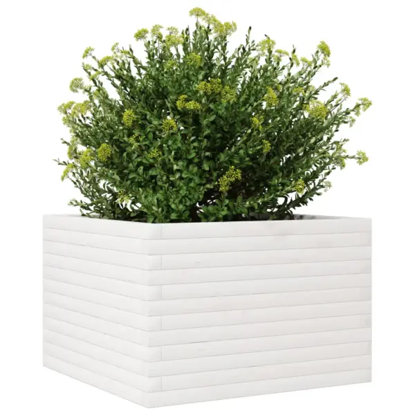 Männipuidust aia taimekast, valge, 70 x 70 x 45,5 cm – 4