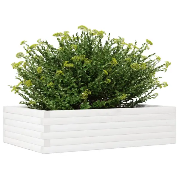 Männipuidust aia taimekast, valge, 90 x 60 x 23 cm – 4