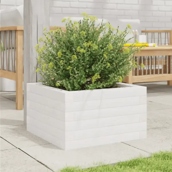 Männipuidust aiataimekast, valge, 40 x 40 x 23 cm – 3