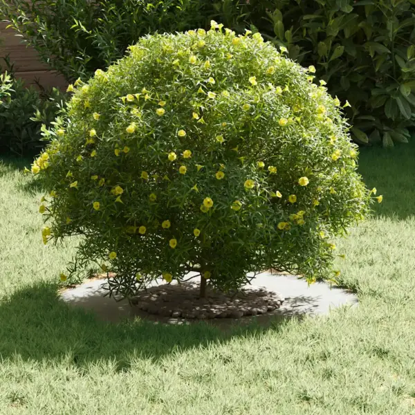 Lame dekoratiivne puurõngaste komplekt, 5 tk, valge teras, 60 x 60 cm – 3