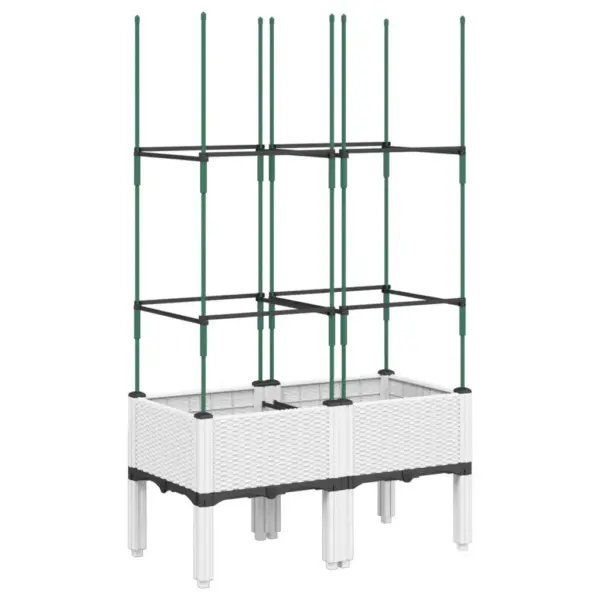 Võrega taimekast ronitaimedele, valge PP, 80 x 40 x 142,5 cm – 2