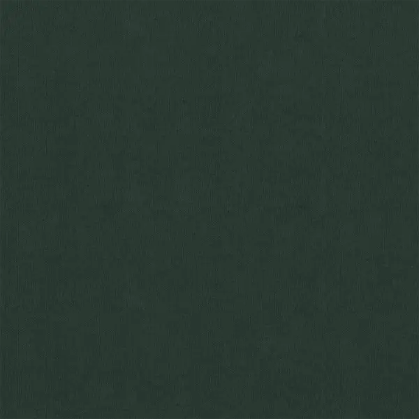 Veekindel rõdusirm privaatsuse kaitseks, tumeroheline oxford-kangas, 120 x 300 cm – 2