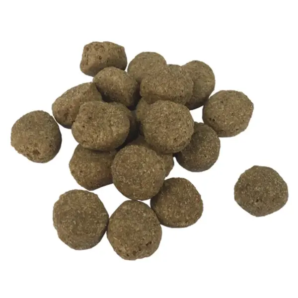 Täiskasvanud koerte kuivtoit veiselihaga Adult Essence, 15 kg - 6