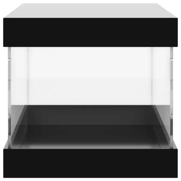 Akrüülist vitriinkast kollektsioonidele, läbipaistev/must, 24 x 12 x 11 cm – 4
