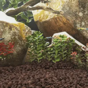 Akvaariumi punased vulkaanilised laavakivid, 5–8 cm, 25 kg