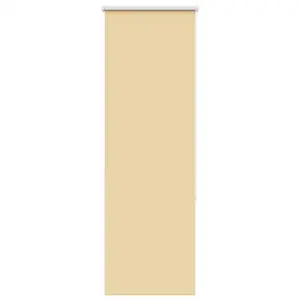 Beež pimendav ruloo, 60 x 150 cm, kanga laius 55,7 cm, polüester