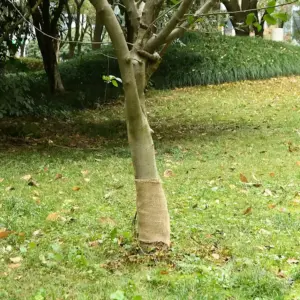 Džuudikangas rullis dekoratsiooniks, naturaalne, 0,25 x 15 m, 200 g/m²