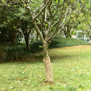Džuudiriidest rull 0,5 x 25 m, naturaalne, 200 g/m²