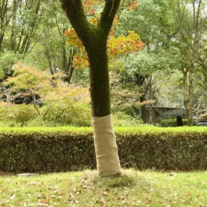 Džuudiriidest dekoratiivne rull 1 x 5 m, naturaalne, 200 g/m²