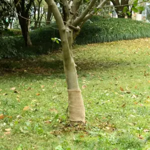 Dekoratiivne džuudiriie rullis, 0,25 x 25 m, naturaalne, 100% looduslik džuut, 200 g/m²
