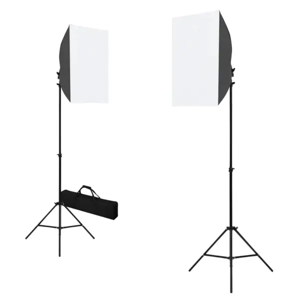 Fotostuudiokomplekt softboxide ja musta taustakangaga, 500 x 300 cm – 2