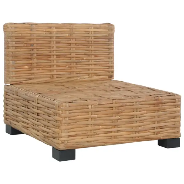 Käetugedeta diivan patjadega, naturaalne rotang, pruun, 67 x 67 x 59 cm – 5