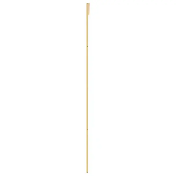 Klaasist liuguks kuldse alumiiniumraamiga, läbipaistev ESG-klaas, 76 x 205 cm – 5