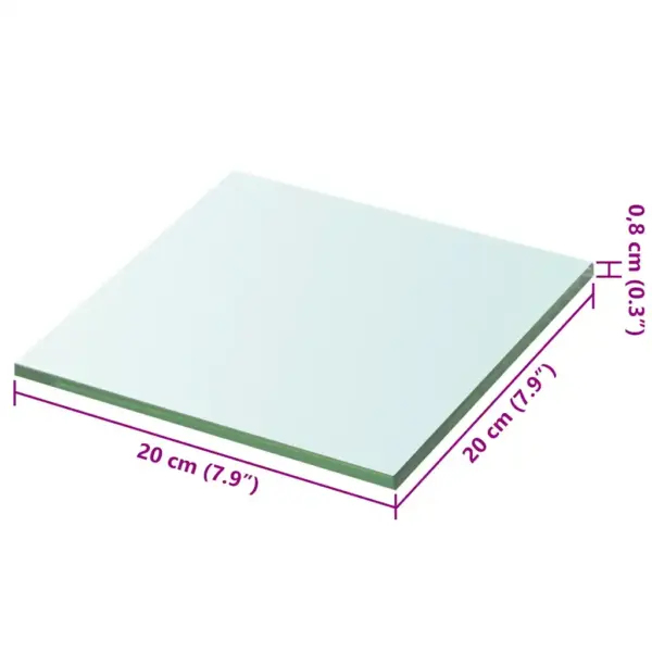 Läbipaistev karastatud klaasist riiuliplaat, 20 x 20 cm, 8 mm, kandevõime 15 kg – 3
