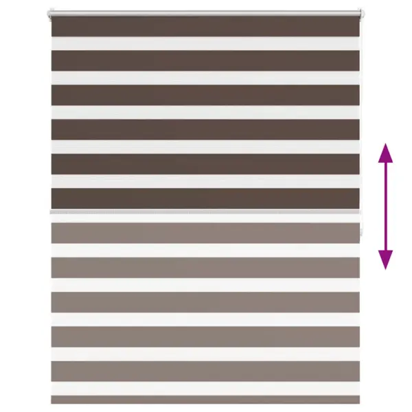 Sebra rullkardin valguse reguleerimiseks, 120 x 175 cm, kohvivärvi, 100% polüester – 5